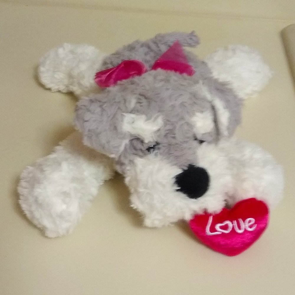 Valentine's Dog Stuffed Animal